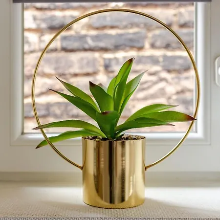 Apartament ** Cathedrale Centre** *