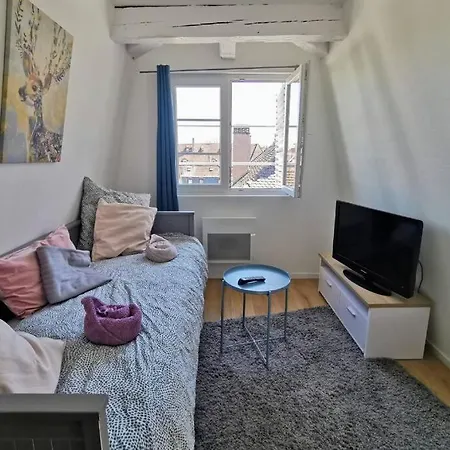 ** Cathedrale Centre** Apartmán Štrasburk